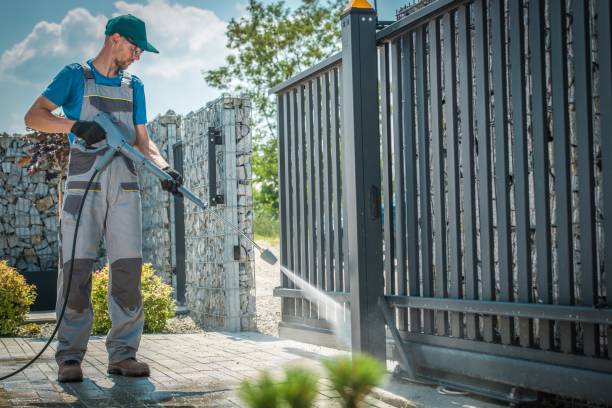 Best Boat and Dock Cleaning  in Tton, IL