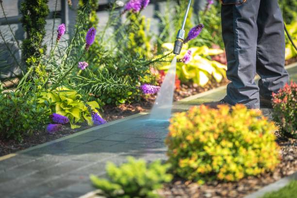 Best Post-Construction Pressure Washing  in Tton, IL