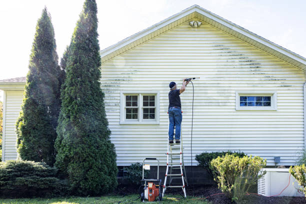 Best Patio and Deck Pressure Washing  in Tton, IL